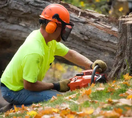 tree services Coalton